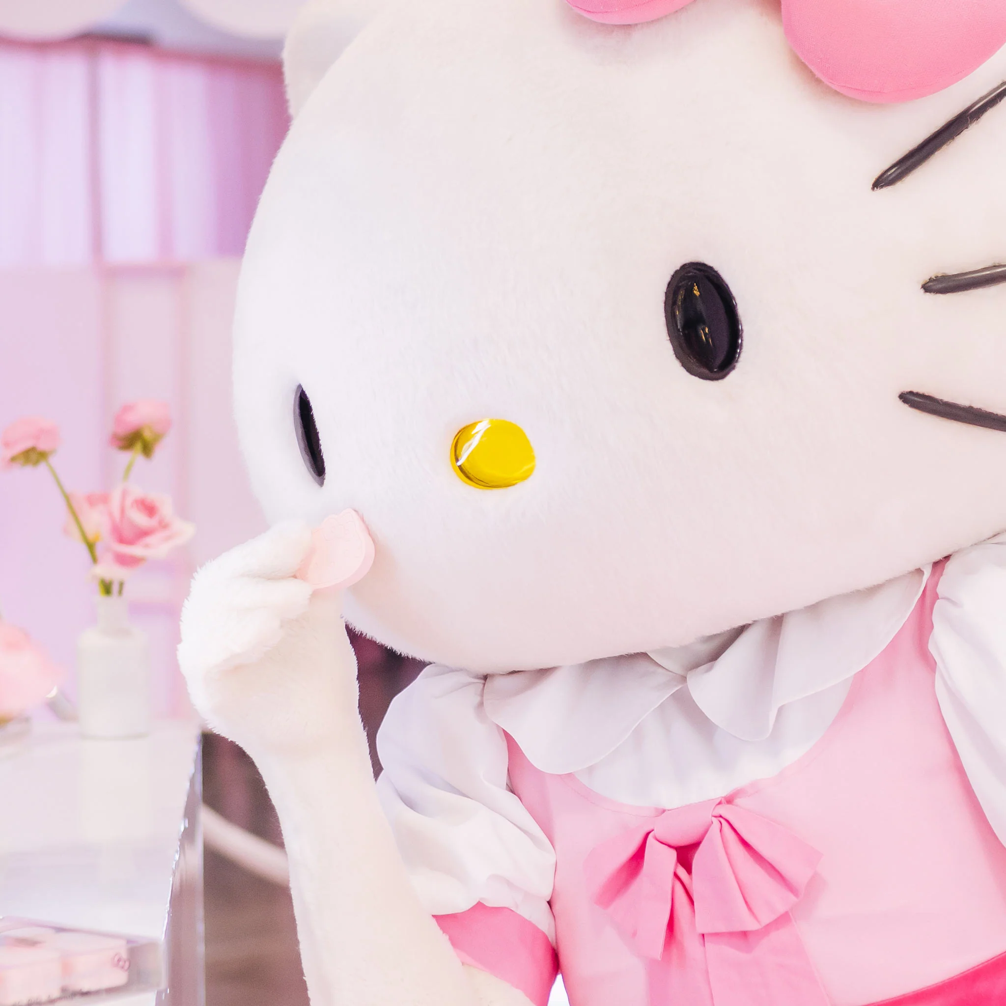 Hello Kitty® 12 PC Sponge Set - Image 4